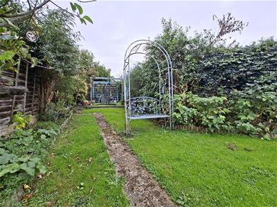 Picture 11